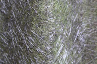 Began fibreglass roof work